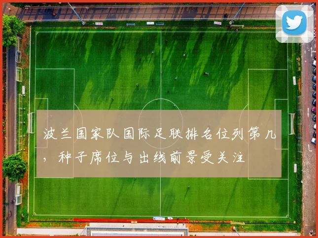 波兰国家队国际足联排名位列第几，种子席位与出线前景受关注