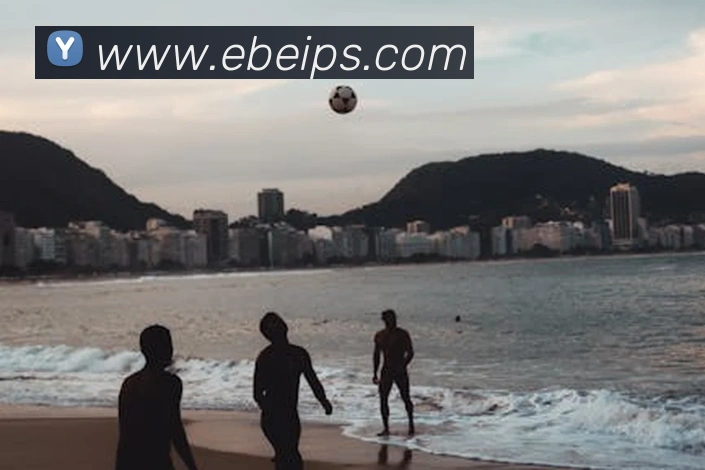 App Interface Preview